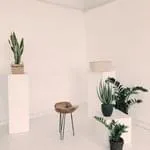 蜂鸟电竞